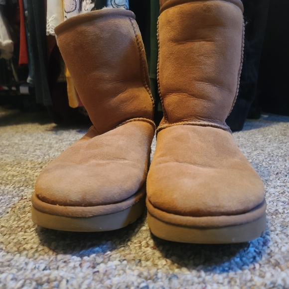 UGG Shoes - UGG Tan Winter Boots - Final Price